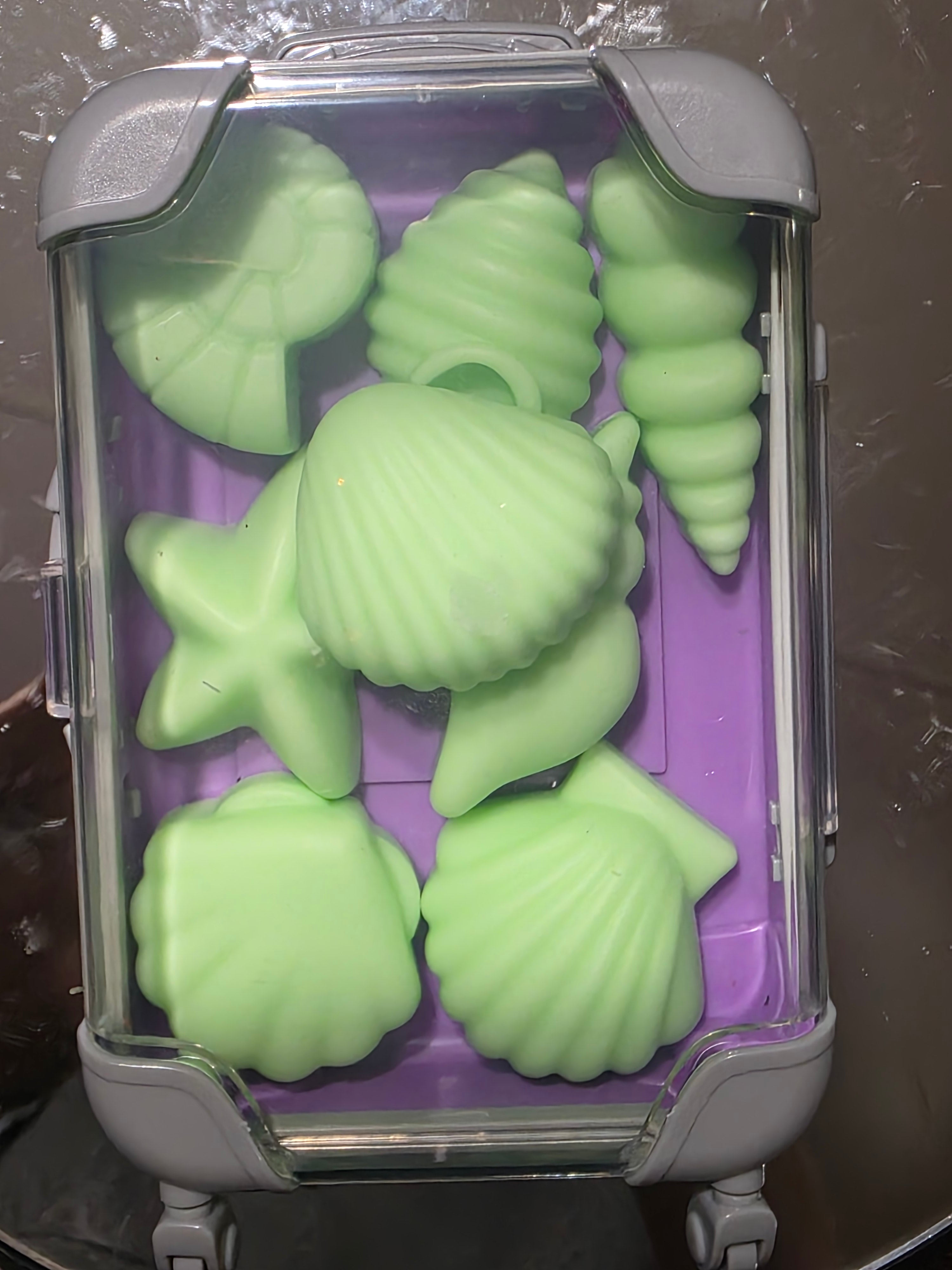 Coastel Collection ( Green Set )