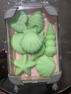 Coastel Collection ( Green Set )