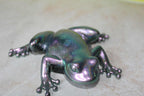 Resin Animals